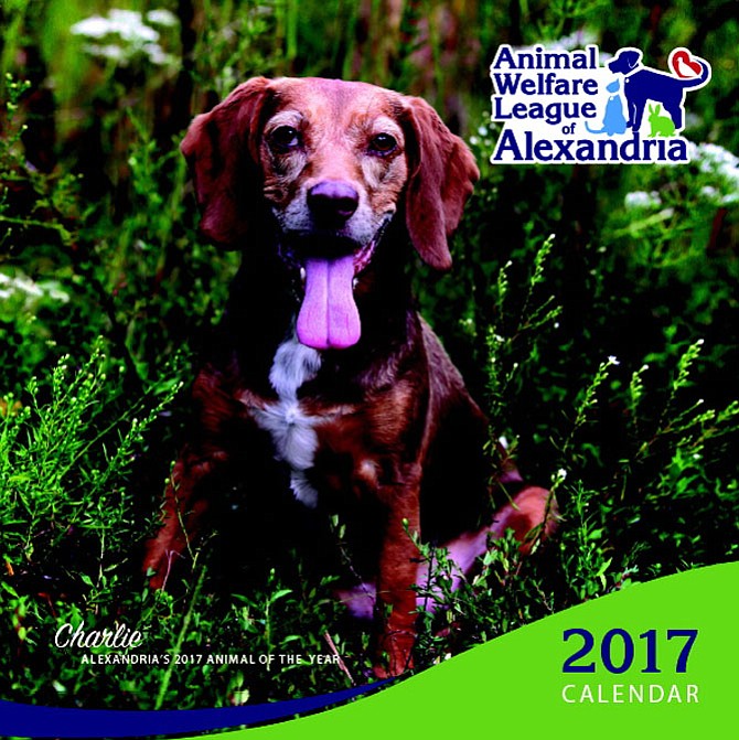 The Animal Welfare League of Alexandria’s 2017 calendar, featuring Charlie. Voting is on now for this year’s online Pet Photo Contest, and all animals entered in the contest will be pictured in the new calendar. 