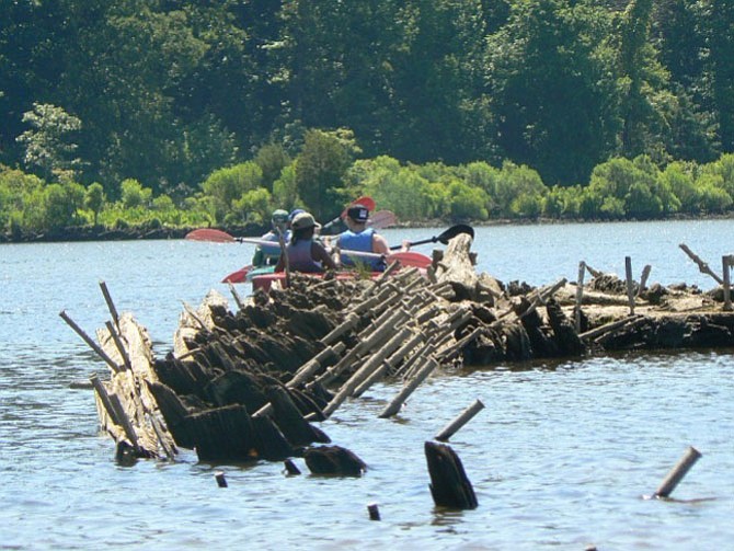 Seaport Foundation kayakers ply the wrecks in the Mallows Bay shallows during an excursion June 21.

