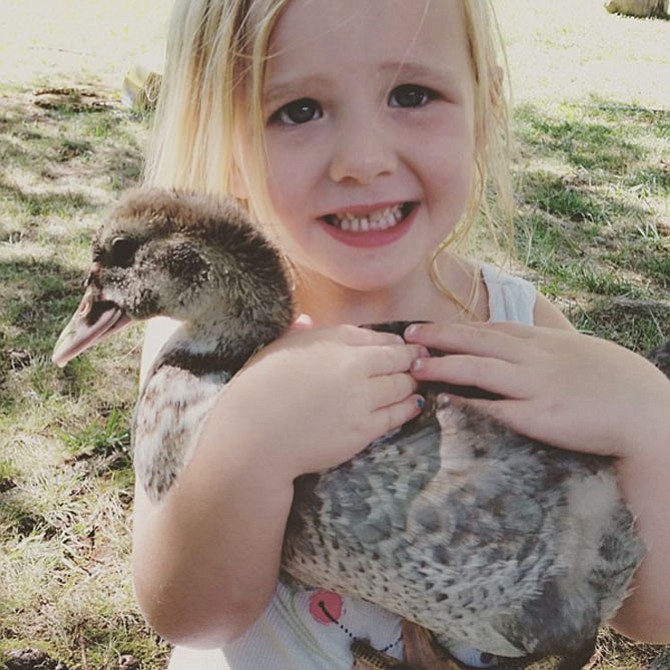 Zuri holding Piper the duck. Piper is one of our two pet ducks. Zuri enjoys hugging and holding the ducks at our home in Alexandria. 
— Leah Beckett