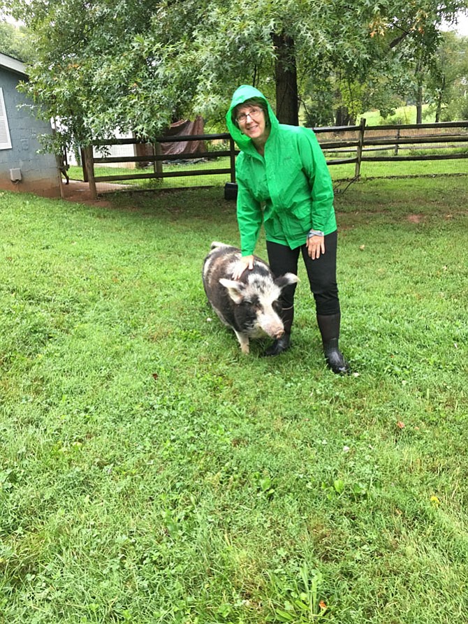 Susan Byrne, executive director of seventh Generation Foundation, pets Noah, one of several people-friendly animals at Dream Catcher Farm in Potomac.