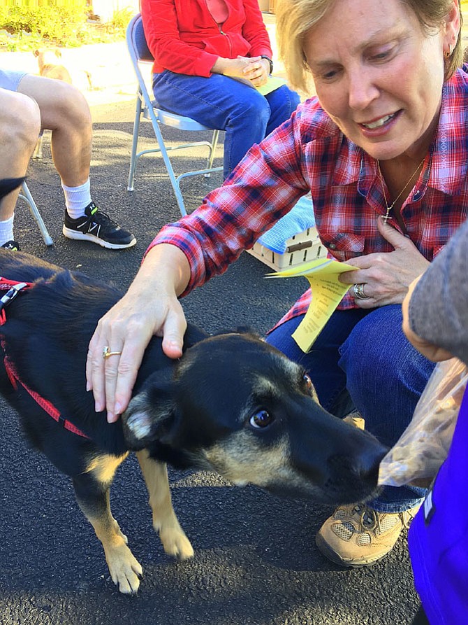 Murphy, 18 months, an Australian cattle dog, sniffs a bag of dog treats after being blessed by the pastor.