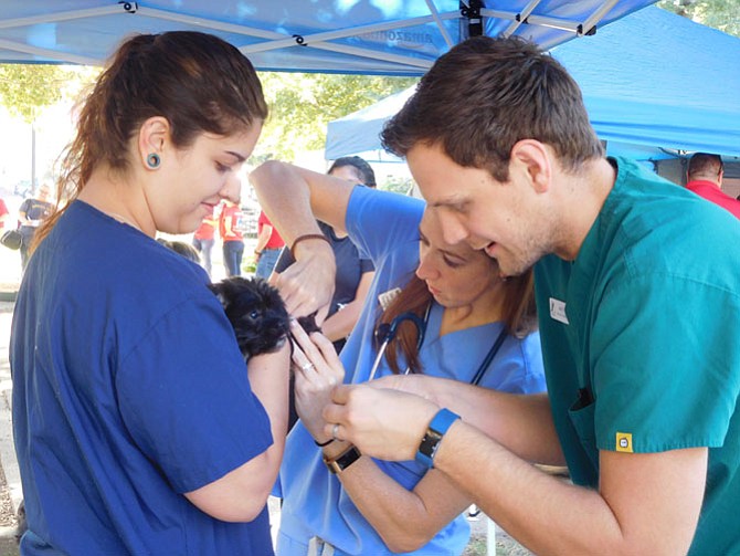 VCA Old Town Animal Hospital veterinarian and technician give a free rabies vaccine to a dog at the pet care clinic.
