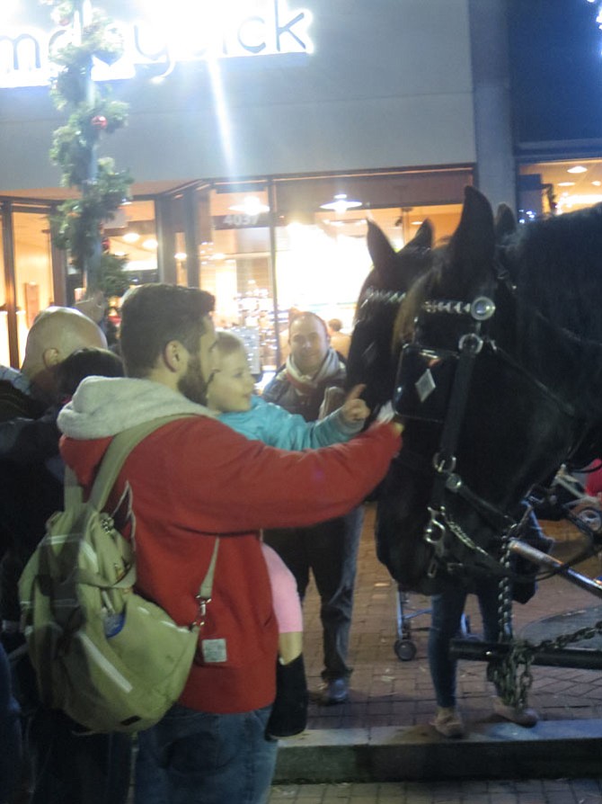 Families pet the horses pulling carriages.