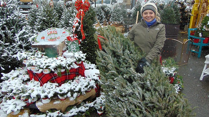 Shannon Cooley, co-owner of Four Seasons of McLean, a family business for 28 years in McLean, with a Christmas Tree from North Carolina.