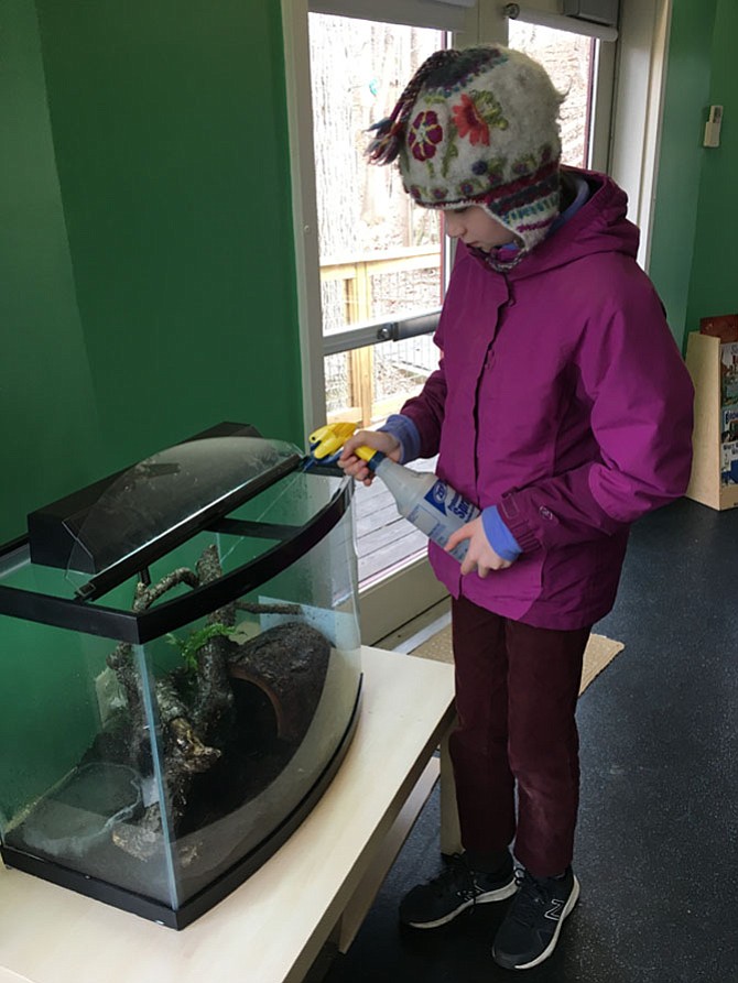 Scarlet Mann, 12, of Carderock Springs, adds moisture to the toad house during the Day of Service at Locust Grove Nature Center in Cabin John Regional Park on Monday, Jan. 15.