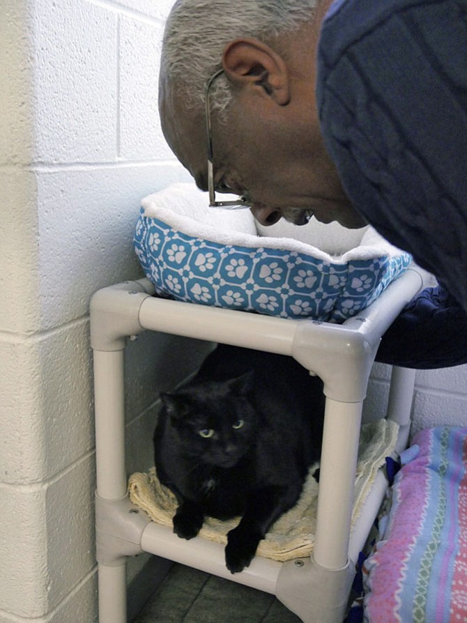 Lynwood Campbell coaxes Max out of his corner at the Alexandria Animal Shelter.