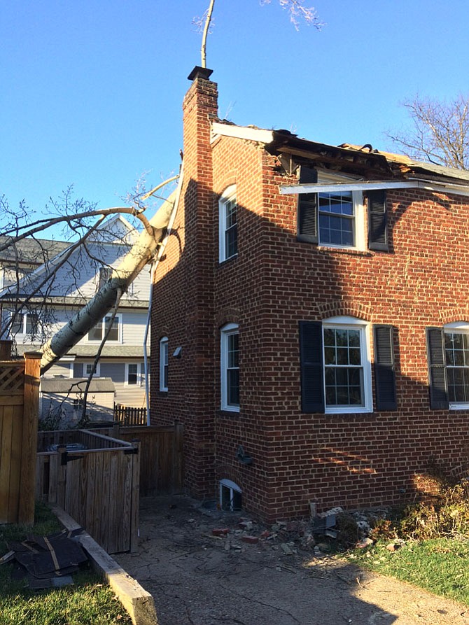 The largest Aspen south of Pennsylvania tumbled into a house near Yorktown High. 