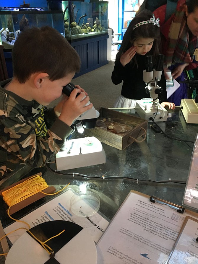 Owen Larson, 5, and Rose Larson, 3, explore the Discovery Table at Glen Echo Park Aquarium on March 21.