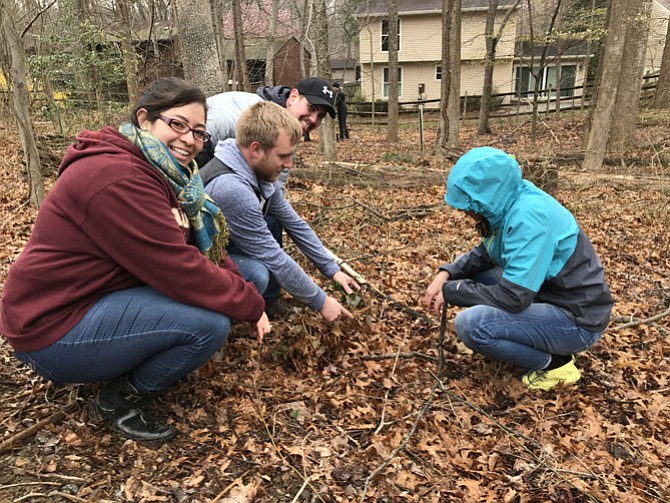 From left, Starbucks volunteers Jessica Jacobs, Jessie Torres, Evan Freese and Kristine Koziar, make sure it is an invasive English Ivy plant they have located before they uproot it.