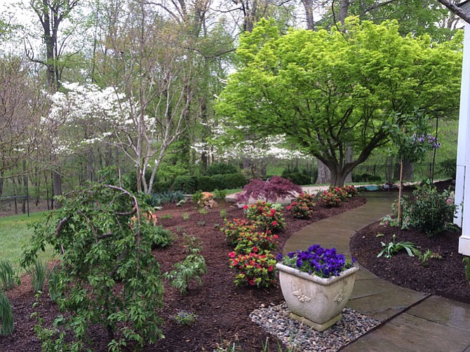 Preparing a spring garden includes pruning, mulching and fertilizing, says Haynes Davis of American Plant in Bethesda. 