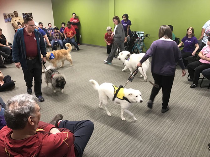 Therapy Dogs performers in “All About Dogs.”