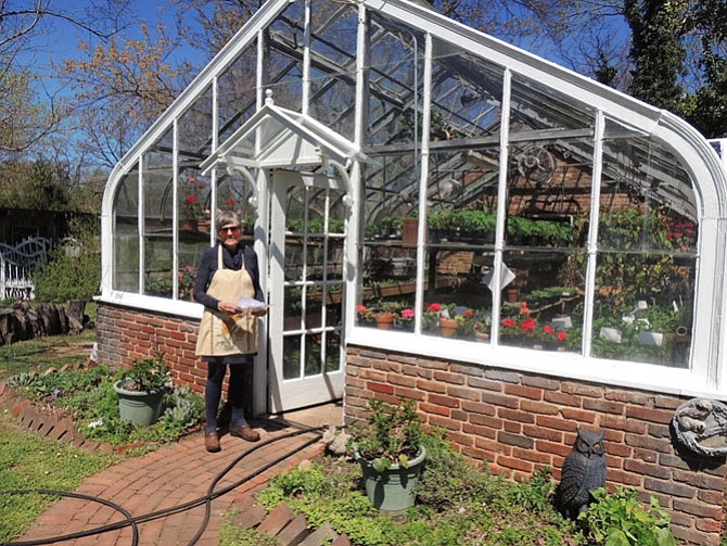 Lead volunteer Mary Barnett at the Art Deco greenhouse at Mount Vernon Unitarian Church.
