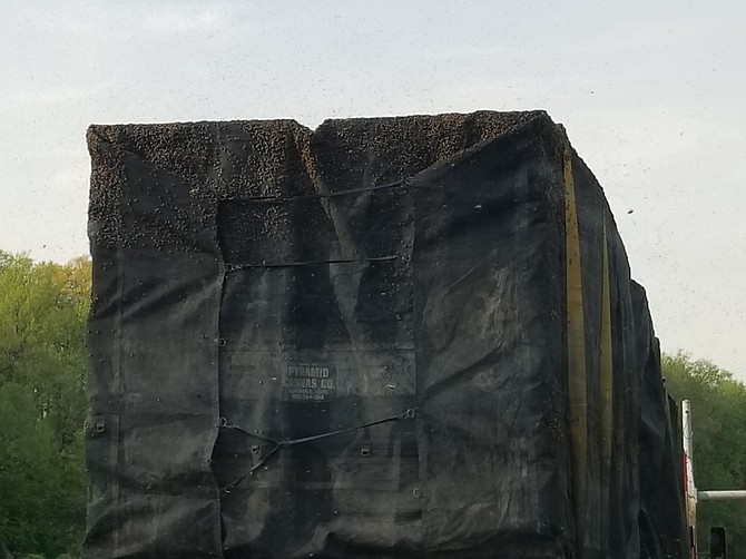 Tractor trailer loaded with honey bees on I-495.