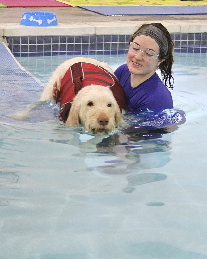 Carmella enters pool with the help of swim coach Erica Dale at the K9 Aquatic and Wellness Center.