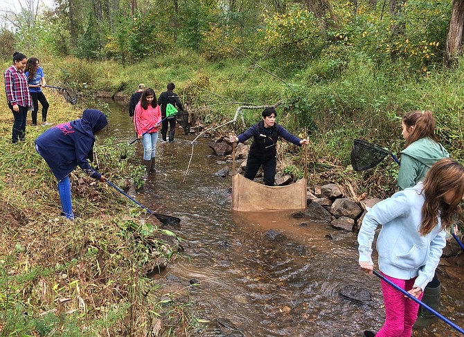 Lanier science teacher Faiza Alam (center) and her students collect macro-invertebrates in the Cub Run stream so they may analyze the stream’s health.
