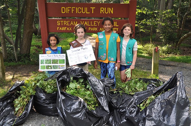 The scouts and their families pulled more than 20 large garbage bags of the invasive plant garlic mustard.