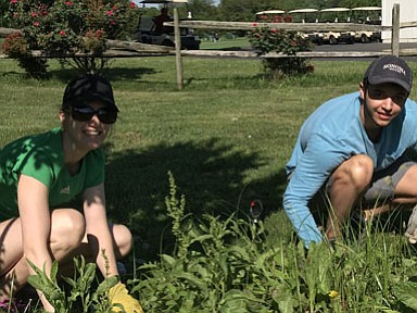 Hannah Steer and Sam Rosenthal, staff members at Johnson Lambert, a CPA and Consultant firm in the Town of Vienna provide community service pulling weeds in a Monarch WayStation in Herndon. 
