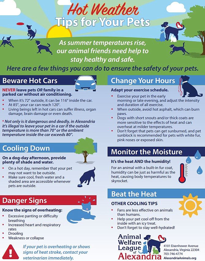 Guide to keeping pets safe in the heat.