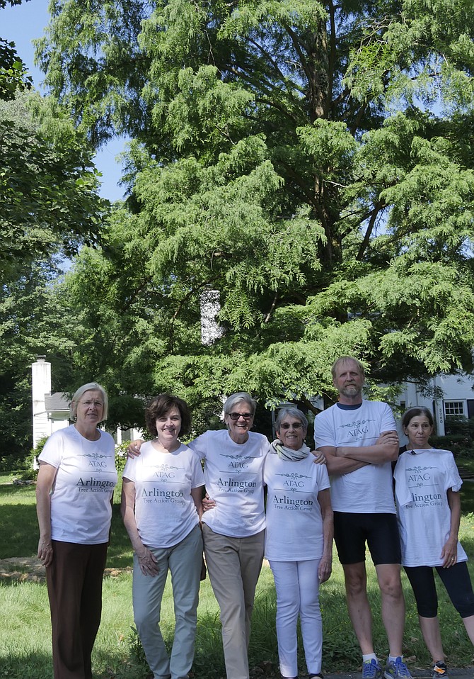 A group of local residents stand in front of a 114-foot high dawn redwood tree in a Resource Protected Area (RPA) on Ohio Street. They appeared at the County Board meeting on Saturday, July 14 to protest the removal of the tree in a proposed redevelopment by Richmond Custom Homes.