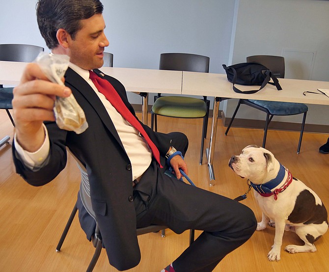 Hugo, a therapy dog, always wants a treat. Today his owner, Tim Denning, says it is mackerel biscuits, a new option.