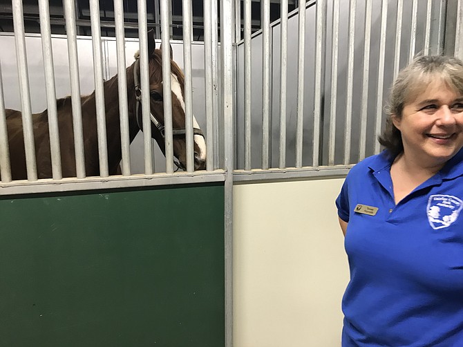 Teresa Reynolds, Assistant Site Manager, Site Historian, Visitor Services Manager at Frying Pan Farm Park, visits one of two remaining horses who escaped Hurricane Florence and have a temporary home at the Fairfax County Park in Herndon.