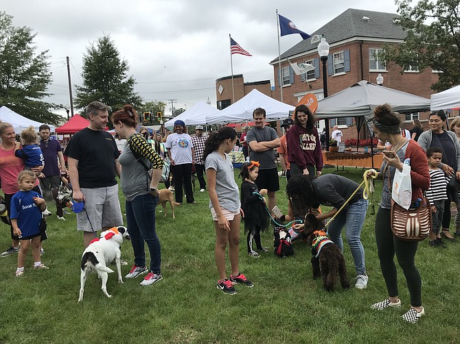 The Herndon Town Square goes to the dogs during the Bark Bash & Pooch Parade produced by Parks and Recreation on Saturday, Oct. 6. Pet adoption agencies strolled the green with their leashed dogs sniffing out new owners.