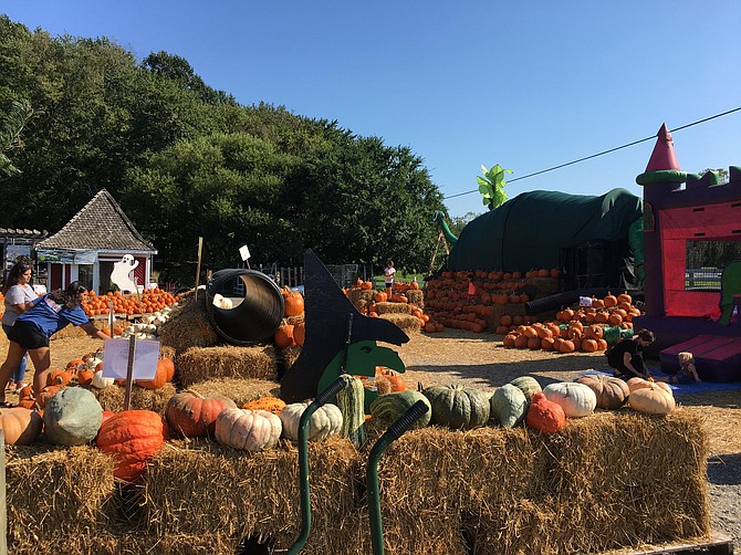 There are plenty of things to do at Meadows Farms’ Fall Festival at their Great Falls location.