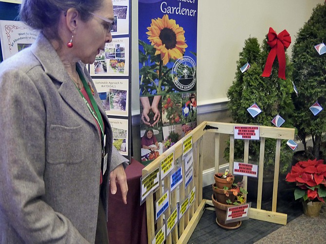 Becky Halbe, a Master Gardener volunteer, hands out radishes and spinach seeds perfect for growing inside as microgreens. "They are popular right now and full of nutrition and vitamins. Here we have a balcony display. Many neighbors are urban dwellers and they need something they can do."