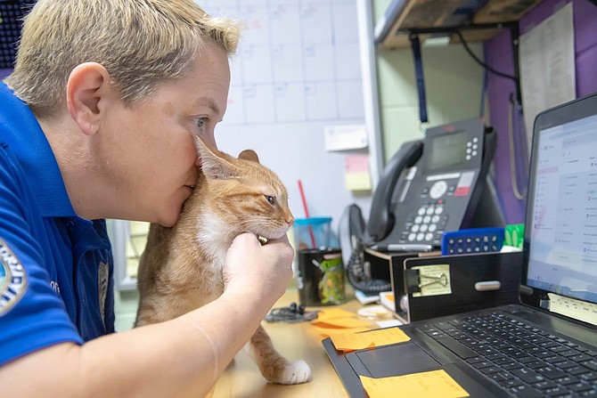 AWLA Animal Services Chief Tammy Doran takes a break with one of the shelter’s charges. Doran is called on to assist authorities with cases involving animal cruelty.