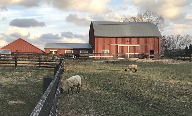 Frying Pan Farm Park received the 2018 Fairfax County Clean Water Farm Award for effective agricultural best management practices and diverse educational and outreach programs.