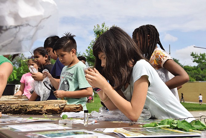 Students participate in an interactive discussion on insects and diseases that affect trees in Montgomery County. Students learn how to identify some of the threats to trees and how they can be treated.