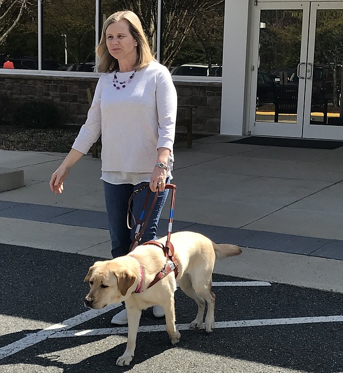 Guide dog Betty safely leads Carol Edwards of Herndon across the street.