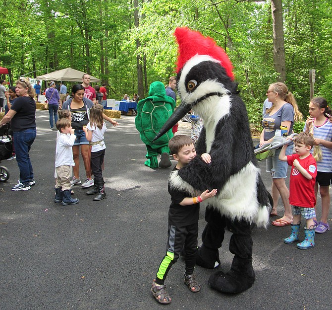 A child gives a big hug to the mascot of the official bird of Reston, the Pileated Woodpecker, during Walker Nature Center's Spring Festival 2019.