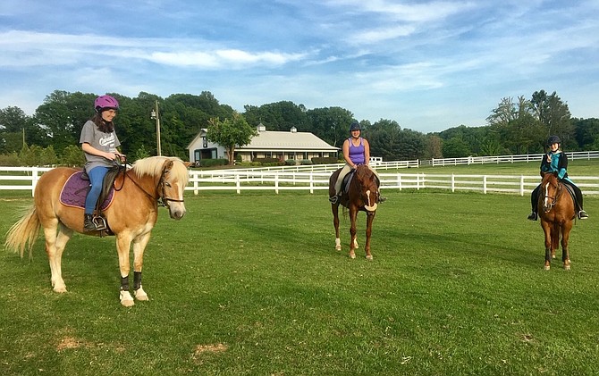 Equine Therapy can be used to treat those with PTSD, says Olivia Taylor of the Northern Virginia Therapeutic Riding Program.