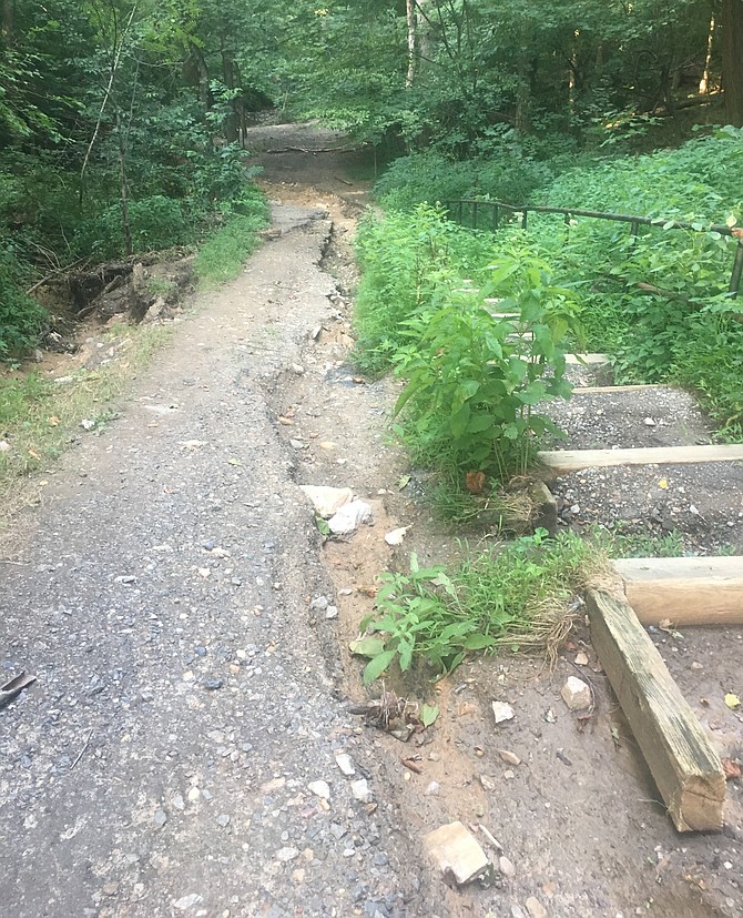 A set of steps leading down into Gulf Branch Nature Preserve was torn apart by the flood, and two ravines were created where there were none. The runoff carved out ravines as it flowed down to the Potomac.