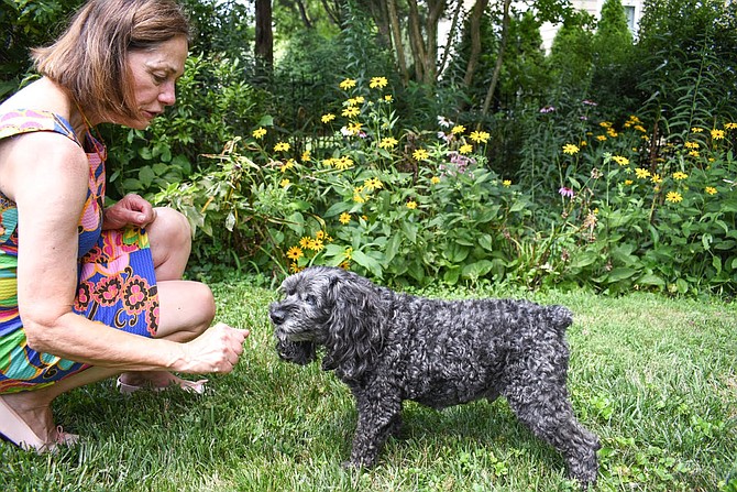 Murphy obeys Nancy Moat’s command of sit and stay.