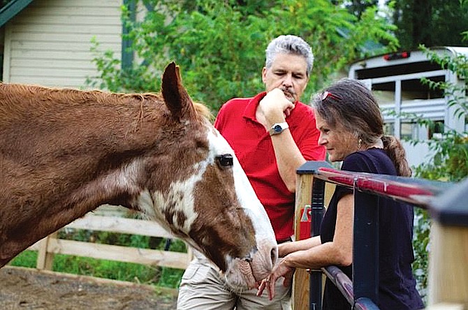 Richard Griffin observes a client interacting with Al, a horse at Little Burgundy Farm, before she enters the round pen.