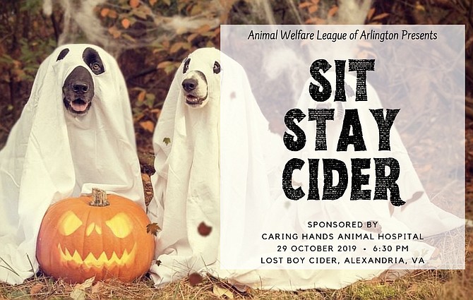Dress up your pup and enjoy a taste of craft cider at the Animal Welfare League of Arlington’s fundraiser at Alexandria’s Lost Boy Cider.