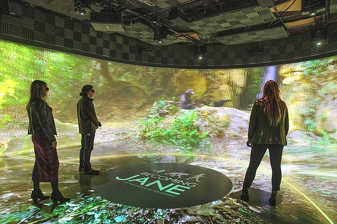 An immersive virtual-reality 3D theatre.