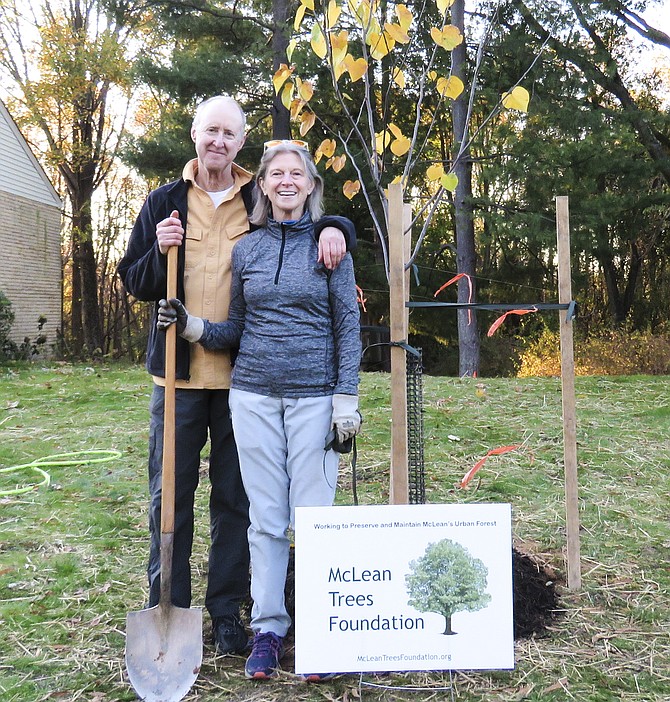 The Neighborhood Tree Program was initiated in 2014 to help increase and diversify the tree canopy in McLean.
