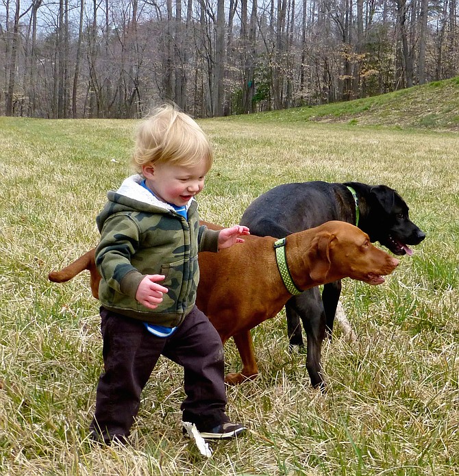 Robert Reed enjoys the company and a walking assist from canine friends.