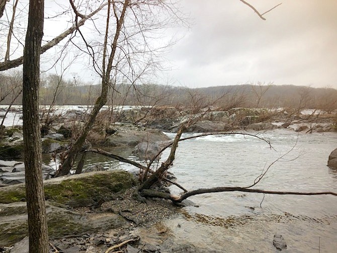 Local trails at Riverbend Park and Scott’s Run Nature Preserve are a sample of the 330  miles of local trails under the Fairfax County Park Authority. While parks remain closed during the pandemic, the local trails remain open.