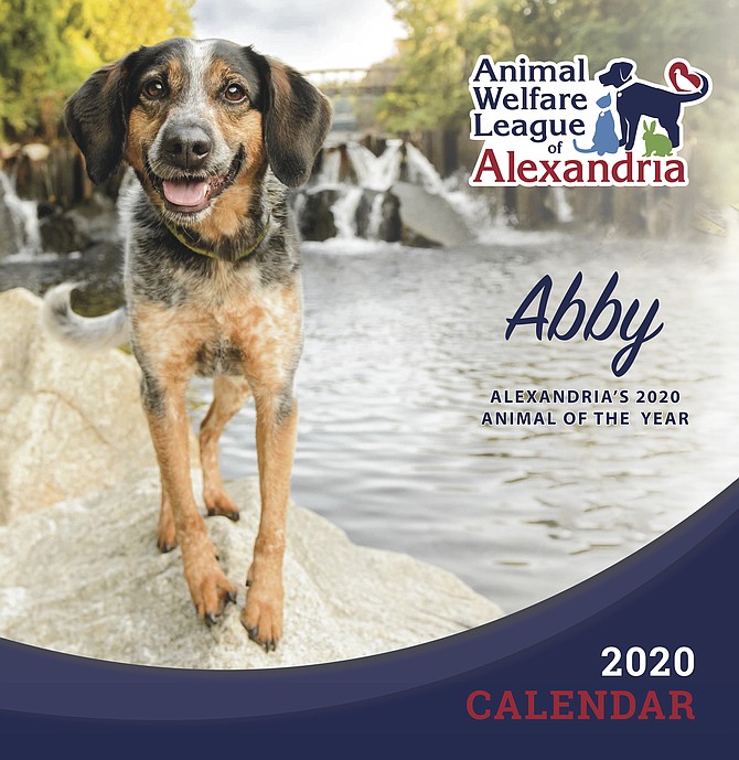 A therapy dog named Abby graced the cover of the 2020 Animal Welfare League of Alexandria calendar. Abby garnered the most votes in last year’s photo contest; this year’s competition launches June 1.