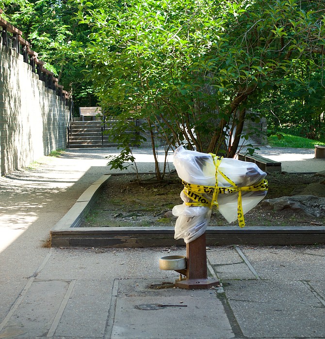 Bring plenty of water: all water fountains are covered in the park to prevent the spread of COVID-19, though bathrooms have reopened underneath the visitor center.