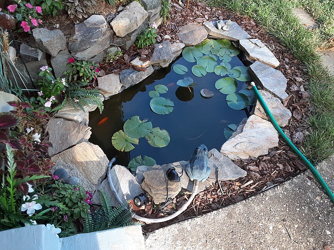 In Springfield, this pond was a creation of the homeowner.