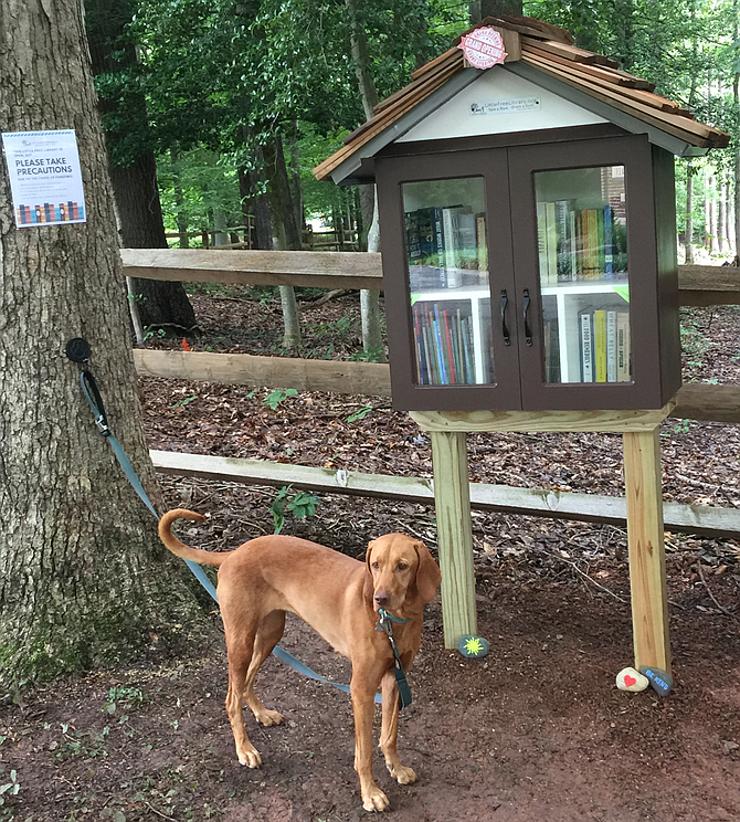 This is the library with our “giving tree” being enjoyed by “Vicki.”  The library is one tree from a bus stop on the corner of Shadow lane and Hampton Rd. Please park safely.