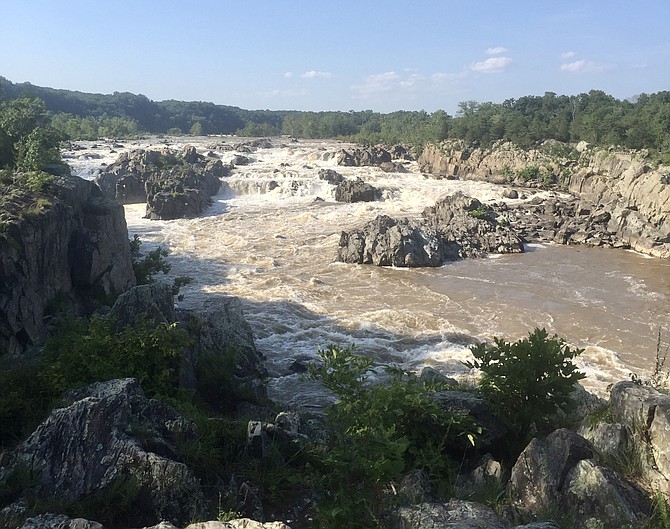 Breathtaking and iconic, the waterfall that gives our town its name is a must-visit for new neighbors. Great Falls National Park boasts miles of hiking trails, a picnic area, and scenic overlooks along the river that lend themselves to either a quick hike or an extended visit to the park.