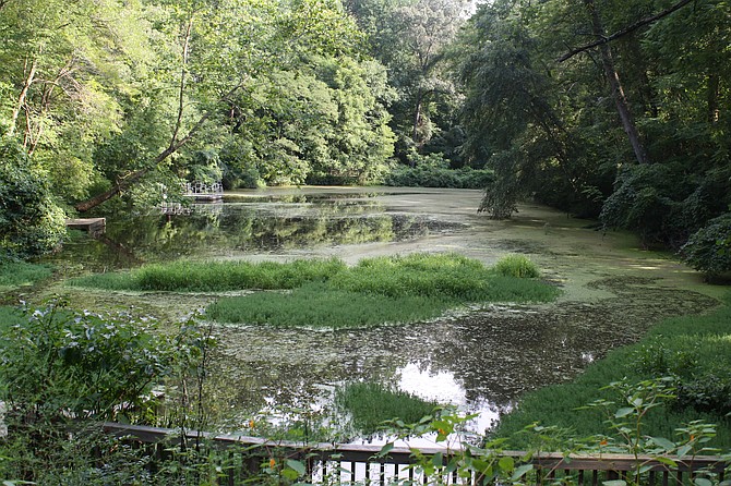 Hidden Pond Nature Center: Acres of undisturbed woodland, quiet trails, splashing streams and a tranquil pond.