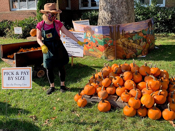 A volunteer points to a display of pumpkins Oct. 4 on opening day of the 27th annual Immanuel Church-on-the-Hill pumpkin patch charity fundraiser.