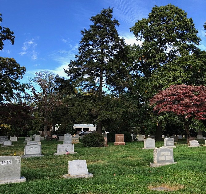 Columbia Gardens is a little-known refuge right on the border of North and South Arlington. It has arboretum status and a prized rose garden.